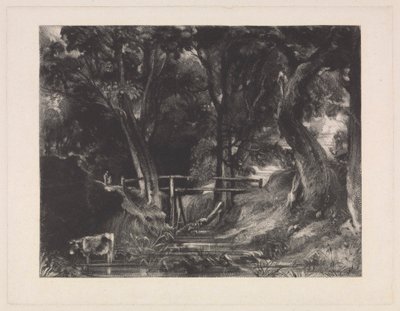 Bir Dell, Helmingham Parkı, Suffolk by David Lucas