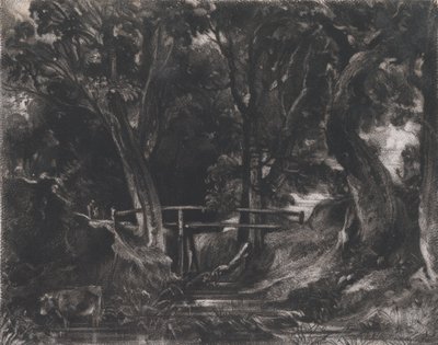 Bir Dell, Helmingham Park, Suffolk, 1830. by David Lucas