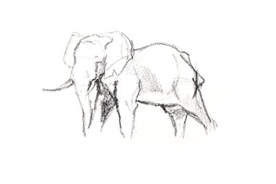 Bull Elephant, 2021 (kağıt üzerinde pastel boya) by David Mayer