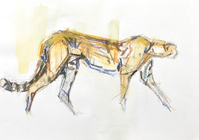 Çita, 2020 (kağıt üzerine pastel boya ve sulu boya) by David Mayer