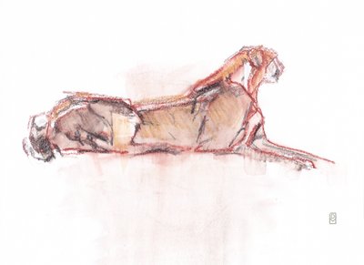 Çita uyarısı, 2019 (kağıt üzerine pastel boya/sulu boya) by David Mayer