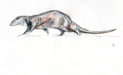 Su samuru koşusu, 2022 (kağıt üzerine suluboya/ pastel boya) by David Mayer