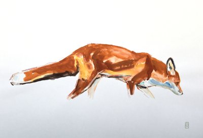 Red Fox, 2020 (suluboya ve pastel boya) by David Mayer