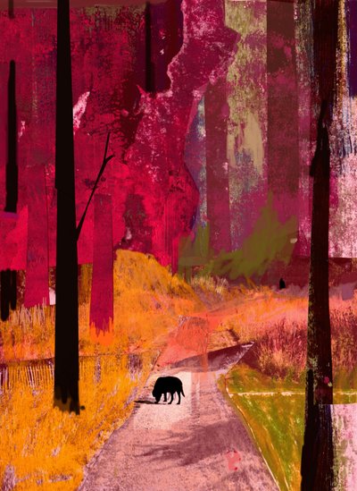 Kara Köpek, 2013, Kağıt Üzerine Kolaj by David McConochie