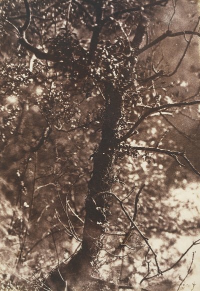 Colinton