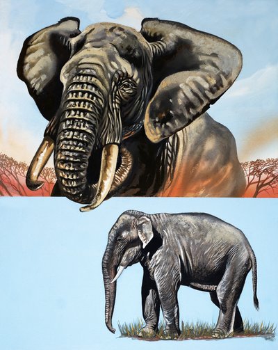  by David Pratt
