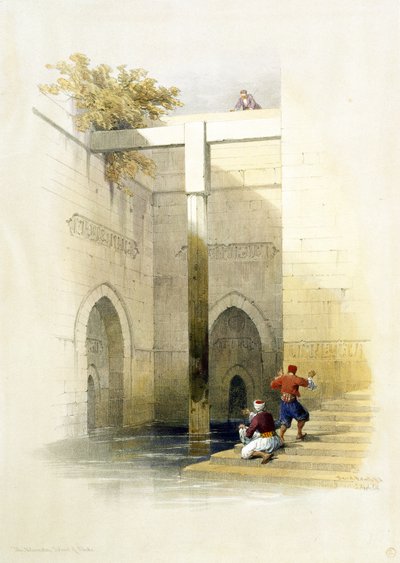 Mısır ve Nubia
