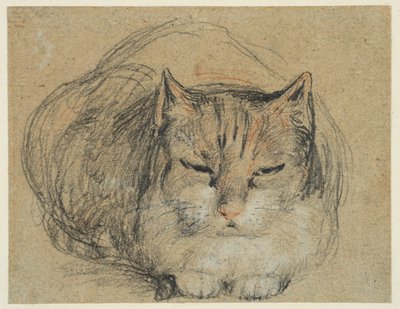 Kedi, #39;Kesilmiş Parmak#39; (recto) için çalışın, 1809 dolayları (siyah, kırmızı ve beyaz tebeşir, kağıt üzerine siyah ve beyaz tebeşir) by David Wilkie