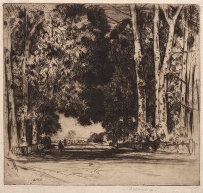 cadde by David Young Cameron