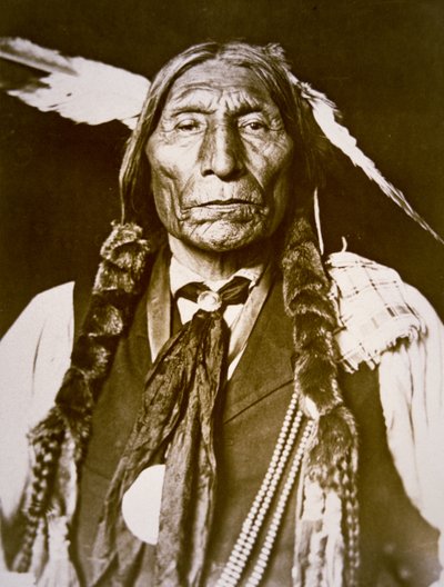Wolf Robe (d.1841) 1909 (s/b fotoğraf) by DeLancey W. Gill