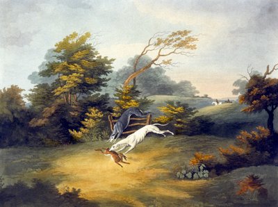 Seyir, levha 4, R.G. Reeve by Dean Snr. (after) Wolstenholme