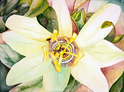  by Deborah Eve Alastra