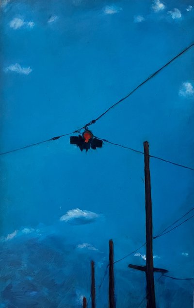  by Deborah Stevenson