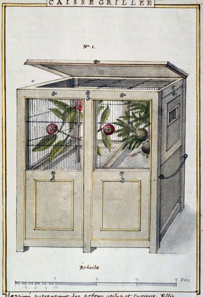 Florindie ou Histoire physico-economique des vegetaux de la Torride