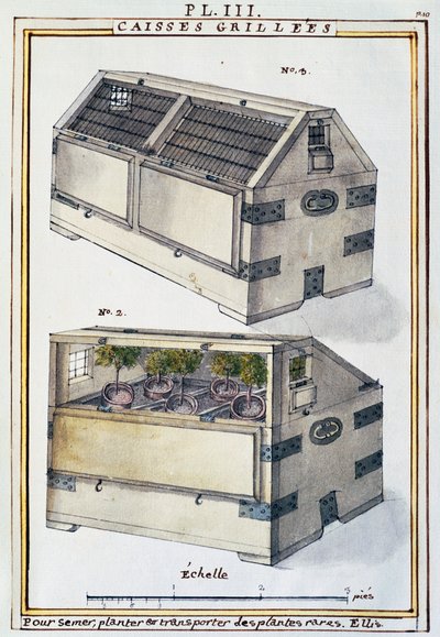 Florindie veya Historie fiziko-ekonomik des Vegetaux de la Torride