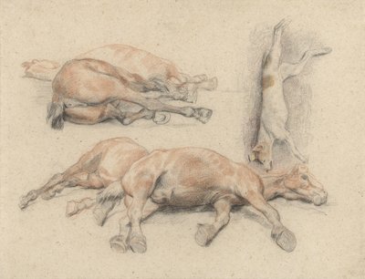 Bir At Kadavrası ve Asılan Ölü Bir Köpek Çalışmaları by Denis Auguste Marie Raffet