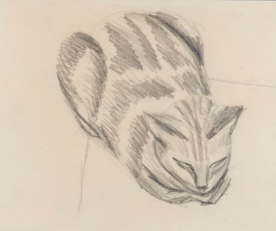 Uyuyan Kedi (kağıt üzerine kurşun kalem) by Denton Welch