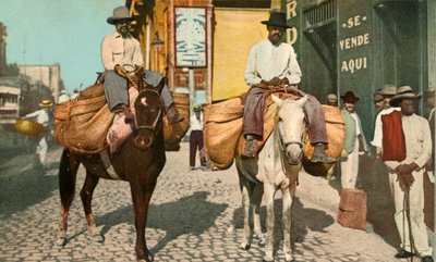 Sebze Adamlar, Havana, Küba, 1904. by Detroit Photographic Company