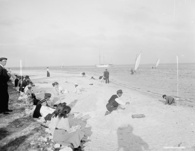 Biscayne Körfezi kıyısında, Miami, Florida, 1905 dolayları (s/b fotoğraf) by Detroit Publishing Co.