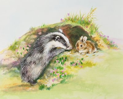 Porsuk ve Tavşan by Diane Matthes