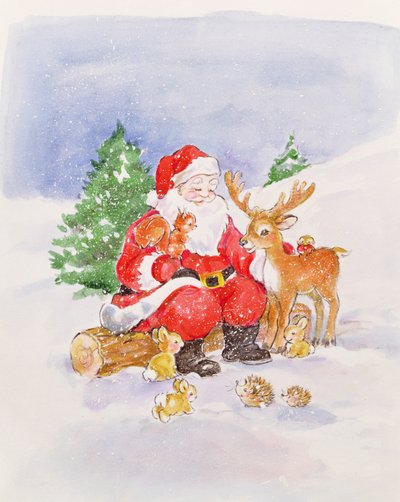 Noel Baba ve Arkadaşları by Diane Matthes