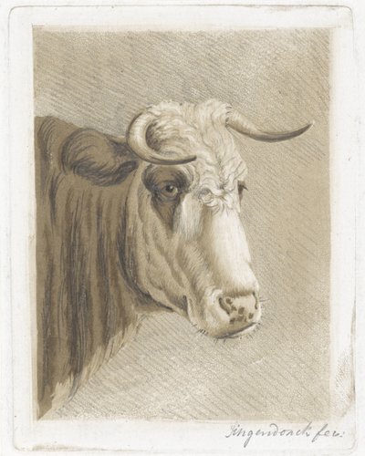 kurabiye bardağı by Diederik Jan Singendonck (signed by artist)
