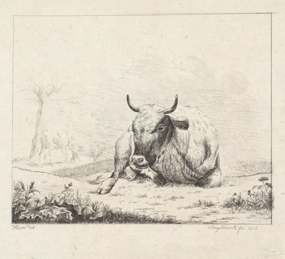 yalancı inek by Diederik Jan Singendonck