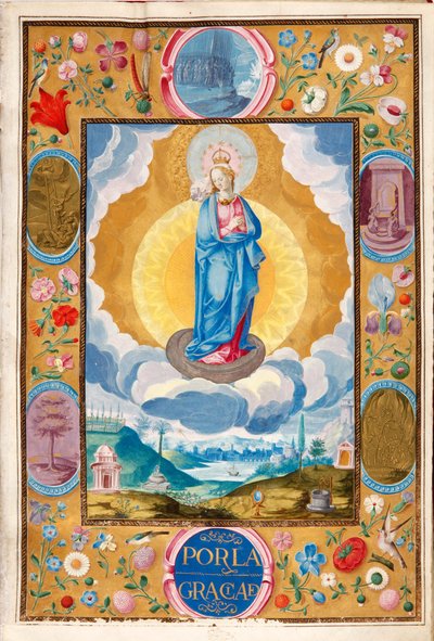 Arias Pardo de Cela