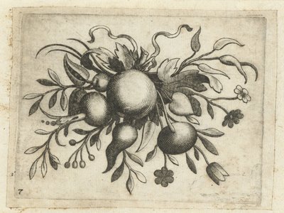 Festoen van Vrutten Seyahat için kullanışlı küçük meyve kitabı (seri başlığı) by Dietrich Krüger (attributed to)