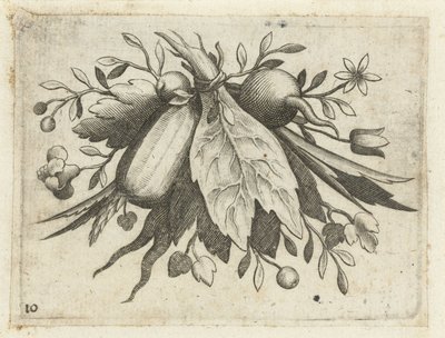 Festoen van Vrutten Seyahat için kullanışlı küçük meyve kitabı (seri başlığı) by Dietrich Krüger (attributed to)