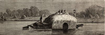 Tuna kıyılarında yem kesme, hasat etme ve taşıma. 1860 yılında Paris