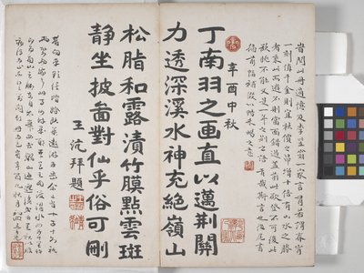Manzara Resimleri Albümü (kağıt üzerine mürekkep) by Ding Yunpeng