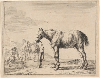 Bir direğe bağlı bir at by Dirck Stoop