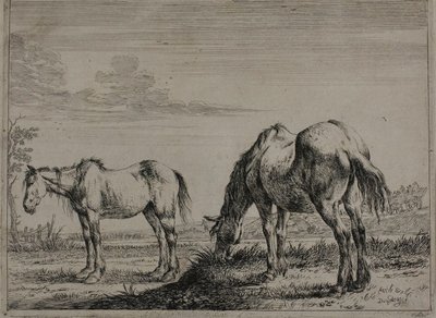 Otlayan At, Atlar Serisinden üçüncü tabak by Dirck Stoop