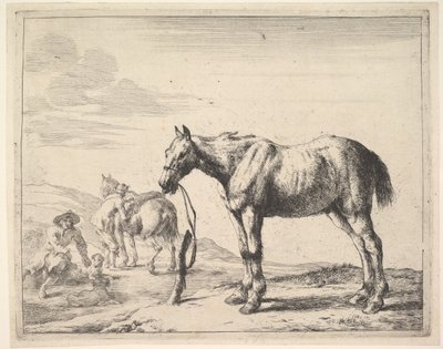 Bir Direğe Bağlı At, sola döndü. by Dirck Stoop
