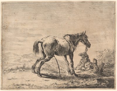 Bir Ahırın Yakınında At Yetiştirmek by Dirck Stoop
