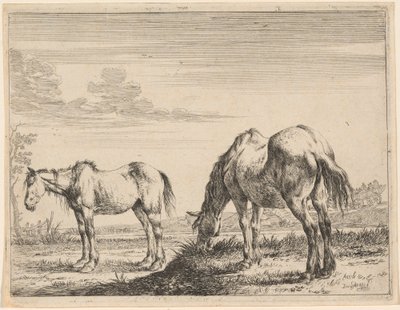 İki Otlayan At by Dirck Stoop
