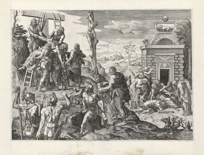çapraz sorgu by Dirck Volckertsz. Coornhert