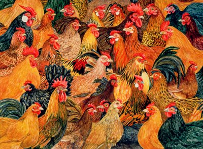 güzel kümes hayvanları by Ditz