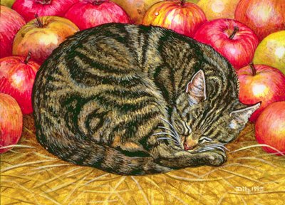 Sol El Apple-Cat, 1995 (panelde akrilik) by Ditz