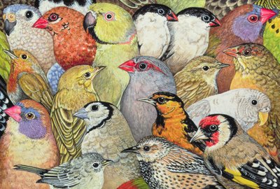 Patchwork-Birds, 1995 (panelde akrilik) by Ditz