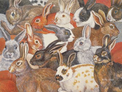 tavşan-yaymak by Ditz