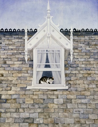 St.Helier Dormer Kedisi by Ditz