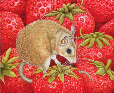 Strawberry-Mouse, 1995 (panel üzeri akrilik) by Ditz