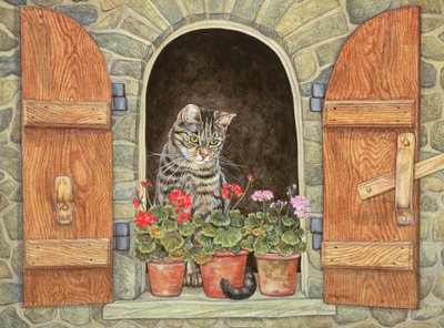 Susies Penceresi by Ditz