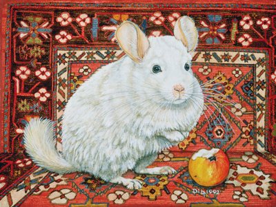 Halı-Chinchilla, 1992 by Ditz