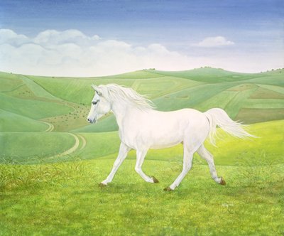 Manzara Atı by Ditz