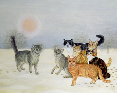 Kış Kedileri by Ditz