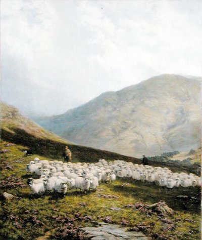 Çoban ve Koyun, Perthshire (tuval üzerine yağlı boya) by Dixon Clark