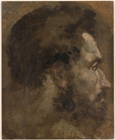  by Domenico Beccafumi